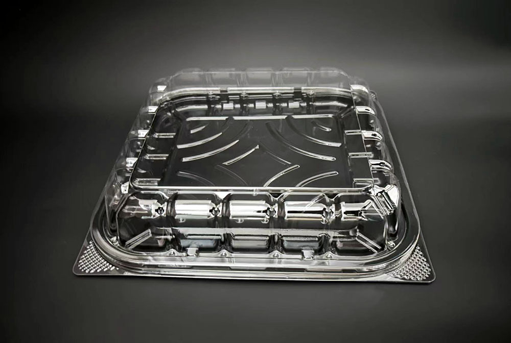 9 cavity cake container with lid
