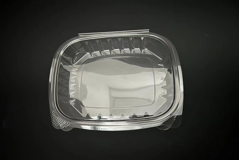 16S Salad box