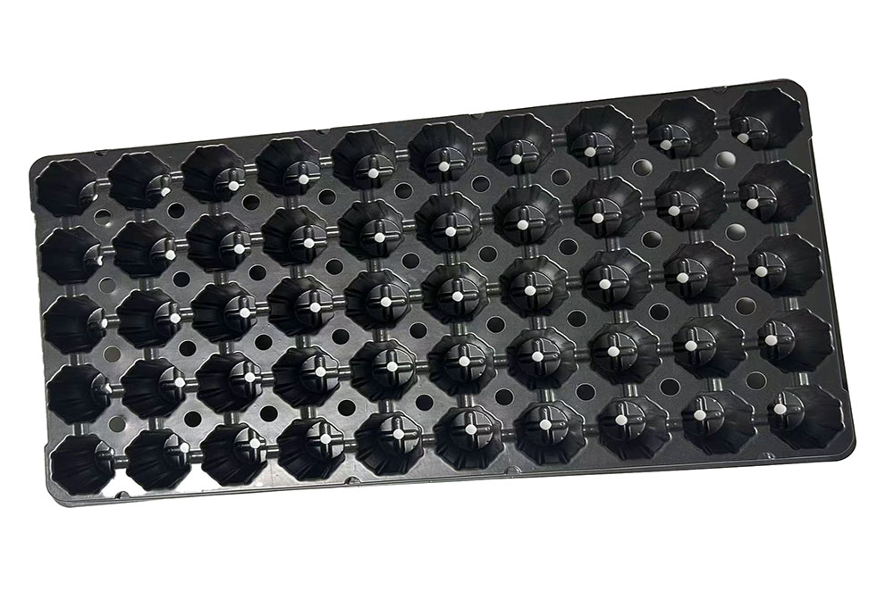 50 PS