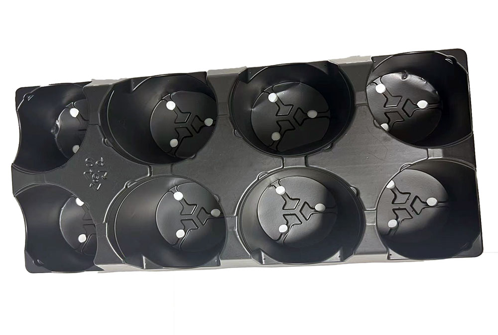 81068-8PK