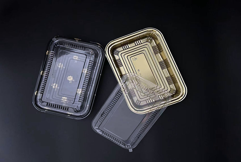 NG-101 Sushi Box