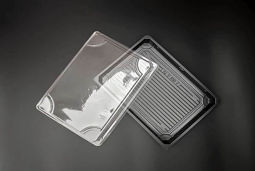 Z-005 Sushi Box