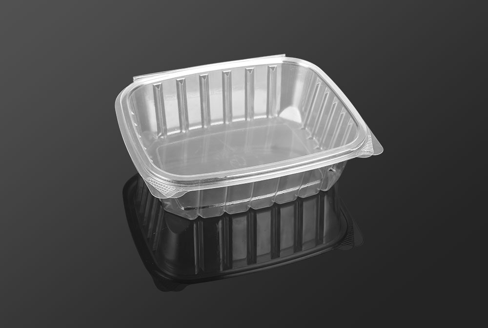 Salad Container